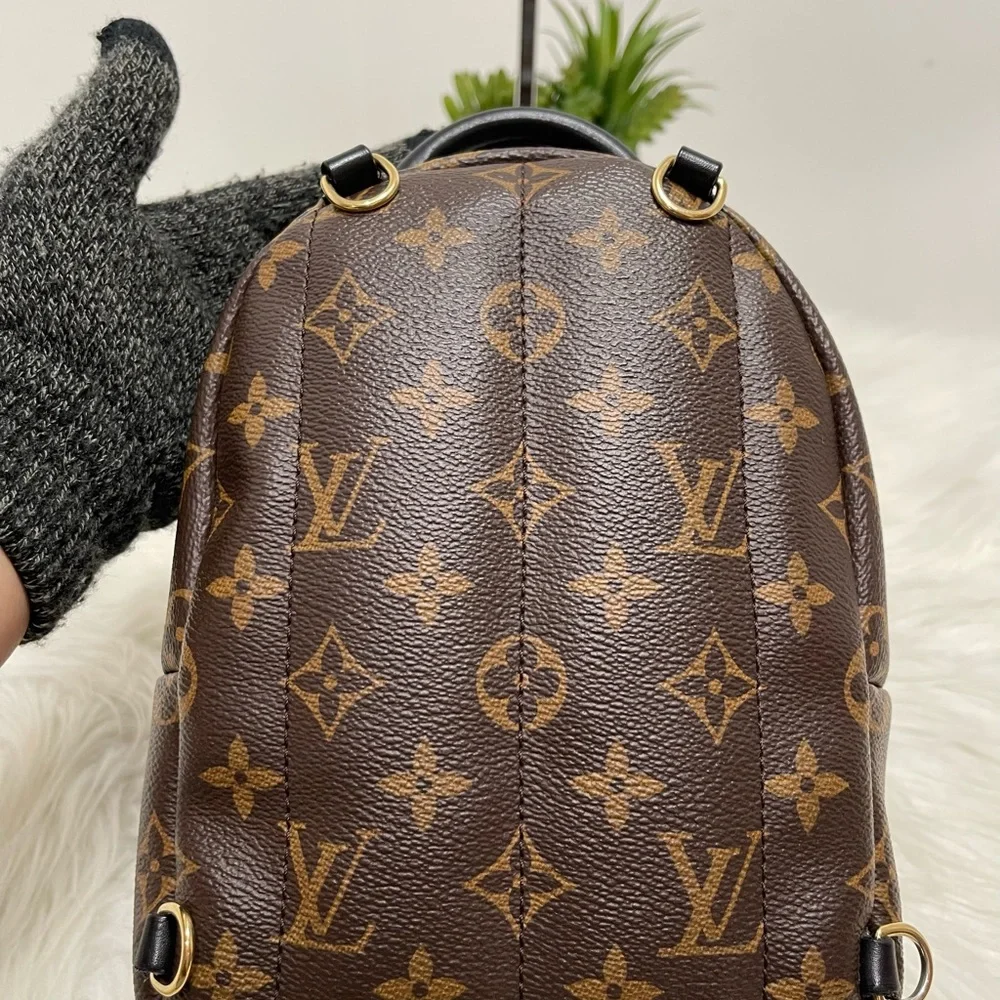 Palm Spring Mini - Picture 3 of 12